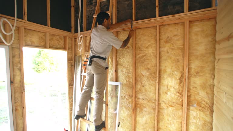 Best Reflective Insulation  in Sa Loma, CA