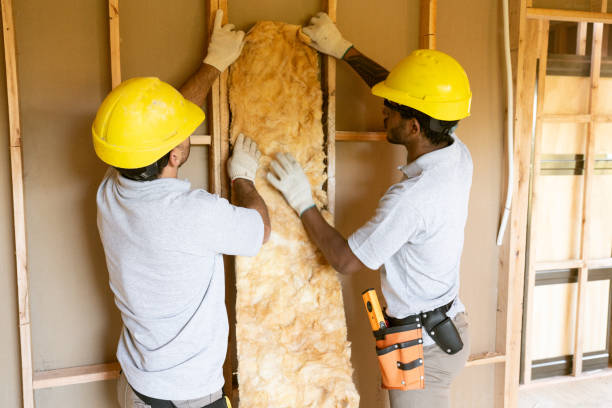 Best Basement Insulation  in Sa Loma, CA